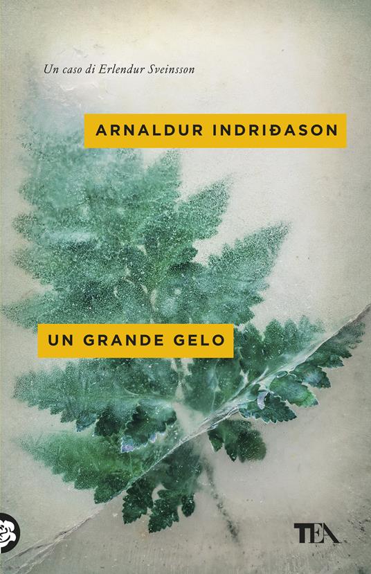 Un grande gelo. I casi dell'ispettore Erlendur Sveinsson. Vol. 5 - Arnaldur Indriðason - copertina