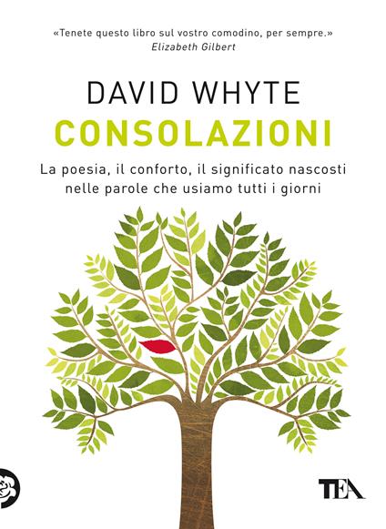 Consolazioni. La poesia, il conforto, il significato nascosti nelle parole che usiamo tutti i giorni - David Whyte - copertina