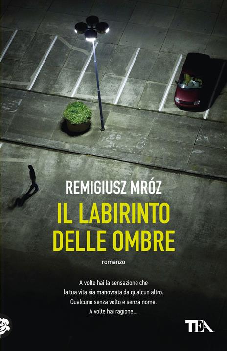 Il labirinto delle ombre - Remigiusz Mróz - copertina