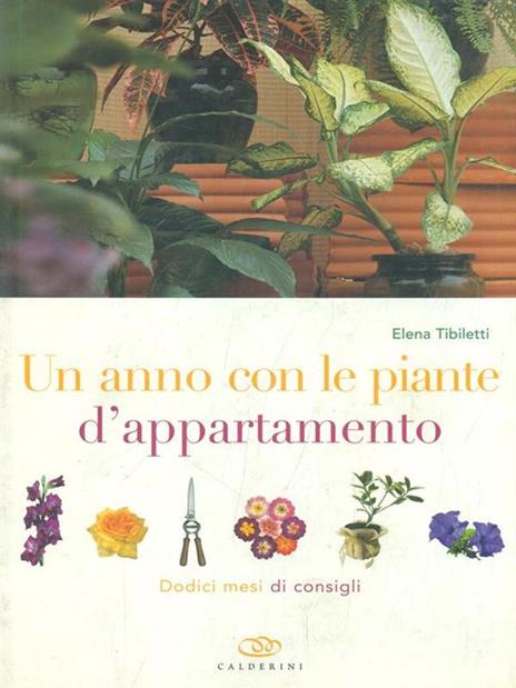 Un anno con le piante d'appartamento. Dodici mesi di consigli - Elena Tibiletti - 4