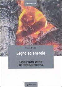 Legno ed energia. Come produrre energie con le biomasse legnose - copertina