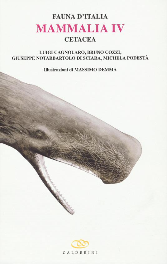 Mammalia IV cetacea - copertina