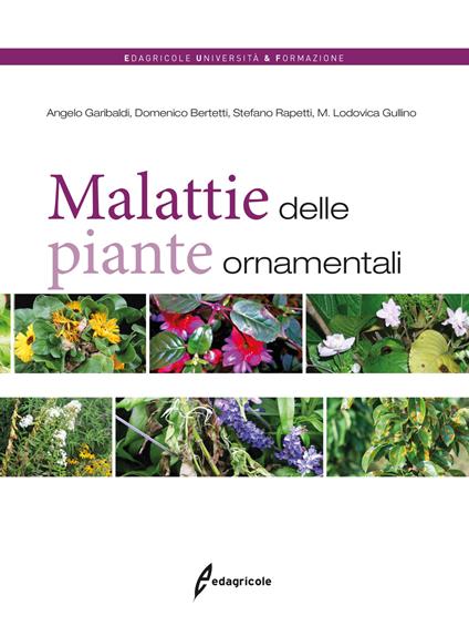 Malattie delle piante ornamentali - Angelo Garibaldi,Maria Lodovica Gullino,Domenico Bertetti - copertina