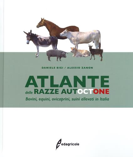 Atlante delle razze autoctone. Bovini, equini, ovicaprini, suini allevati in Italia - Daniele Bigi,Alessio Zanon - copertina