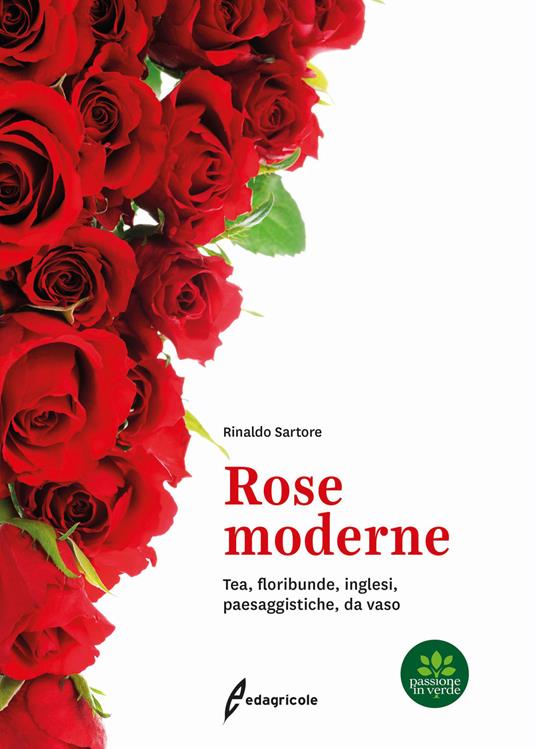 Rose moderne. Tea, floribunde, inglesi, paesaggistiche, da vaso - Rinaldo  Sartore - Libro - Edagricole - Passione in verde | IBS
