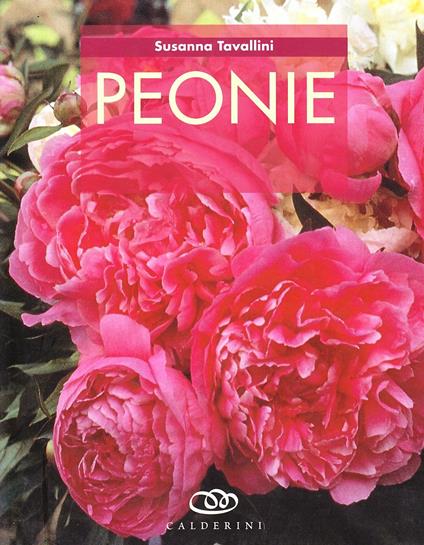 Peonie - Susanna Tavallini - copertina