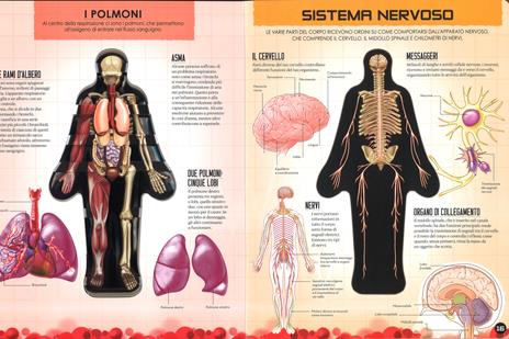 Dentro il corpo umano. Ediz. a colori - Luann Colombo - 5