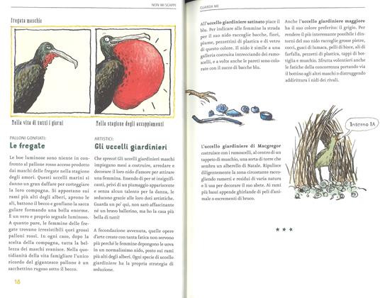 La vita amorosa degli animali. Ediz. a colori - Katharina Von Der Gathen - 4