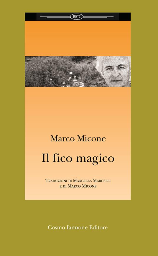 Il fico magico - Marco Micone - copertina