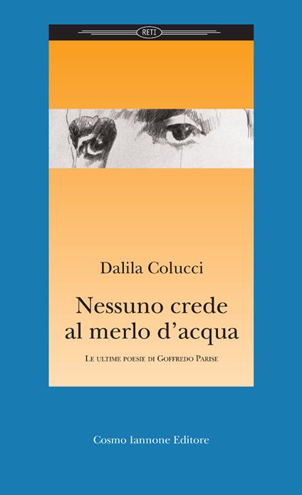 Nessuno crede al merlo d'acqua - Dalila Colucci - copertina