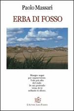 Erba di fosso