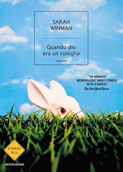 Quando Dio era un coniglio - Sarah Winman,M. Gozzi - ebook