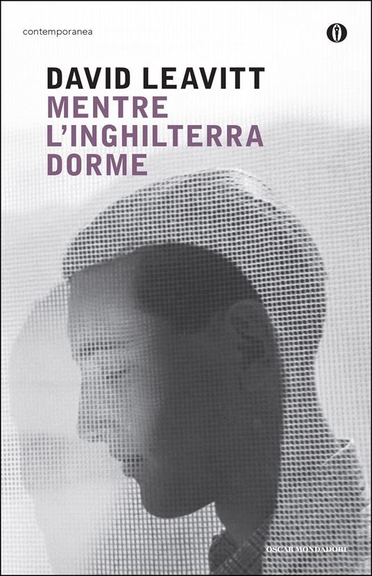 Mentre l'Inghilterra dorme - David Leavitt - ebook