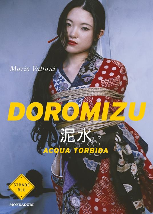 Doromizu. Acqua torbida - Mario Vattani - ebook