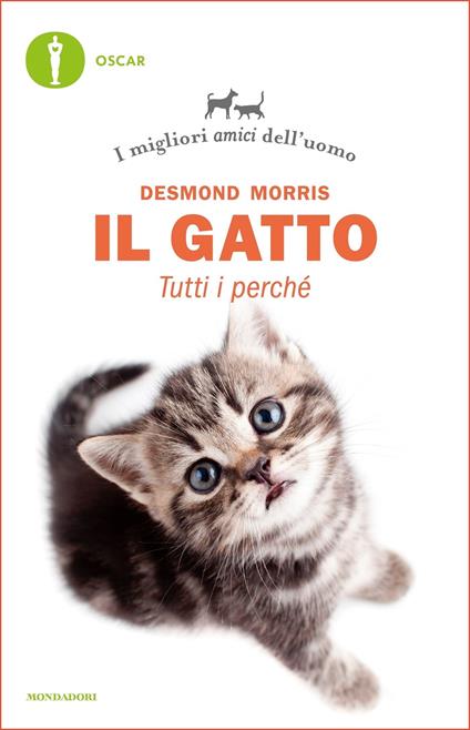 Il gatto. Tutti i perché. I migliori amici dell'uomo - Desmond Morris,Annalisa Baldassarrini Rancati - ebook