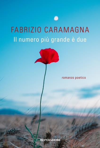 Il numero più grande è due - Fabrizio Caramagna - ebook