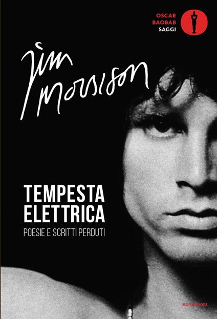 Tempesta elettrica - Riccardo Bertoncelli,Jim Morrison,Schipa Tito - ebook