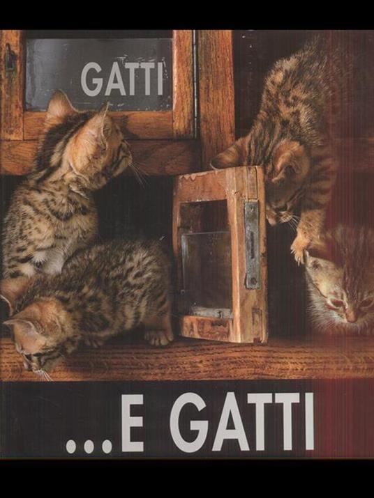 Gatti, gatti... e gatti. Ediz. illustrata - Angela Scipioni - 2