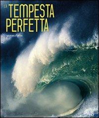 La tempesta perfetta. Ediz. illustrata - Ornella D'Alessio - copertina