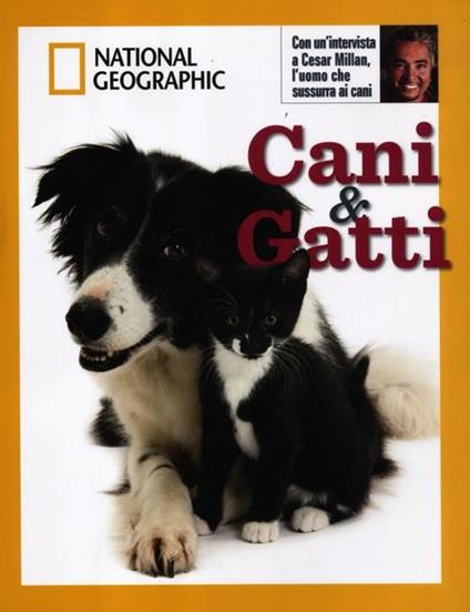 Cani e gatti. Ediz. illustrata - copertina