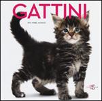 Gattini. Ediz. illustrata