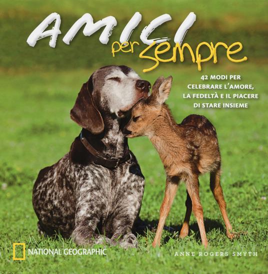 Amici per sempre. 42 modi per celebrare l'amore, la fedeltà e il piacere di stare insieme. Ediz. illustrata - Anne Rogers Smyth - copertina