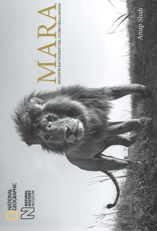 Mara. Incontri ravvicinati nel cuore della savana. Ediz. illustrata - Anup Shah - copertina