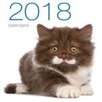 Gatti. Calendario da muro 2018. Ediz. illustrata