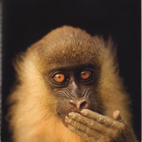 Animal Ark. Poesia e immagini per celebrare la natura. Ediz. a colori - Joel Sartore,Kwame Alexander - 3