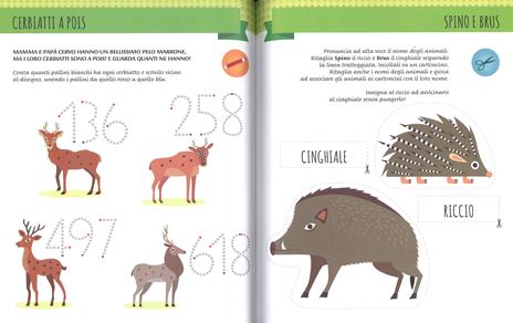 Il mio primo libro degli animali del bosco. 3-4 anni. Montessori: un mondo  di conquiste. Con adesivi. Ediz. a colori - Chiara Piroddi - Libro - White  Star - White Star Kids