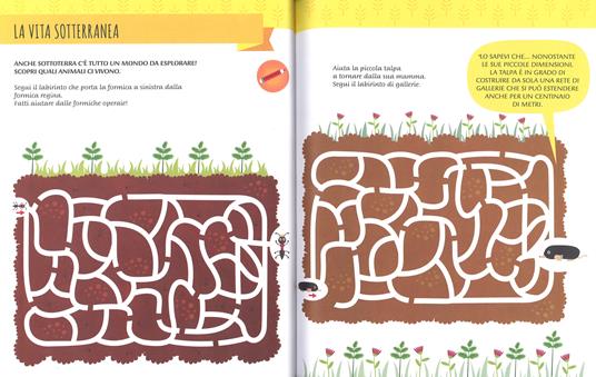 Il mio primo libro del giardino. 5-6 anni. Montessori: un mondo di conquiste. Con adesivi - Chiara Piroddi - 4