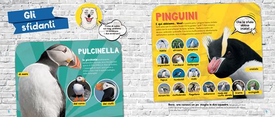 Pinguini e pulcinelle a confronto - Julie Beer - 5