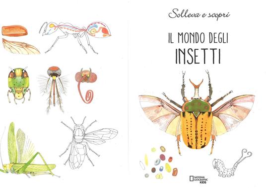 Insetti a Grandezza Naturale — Libro di John Townsend