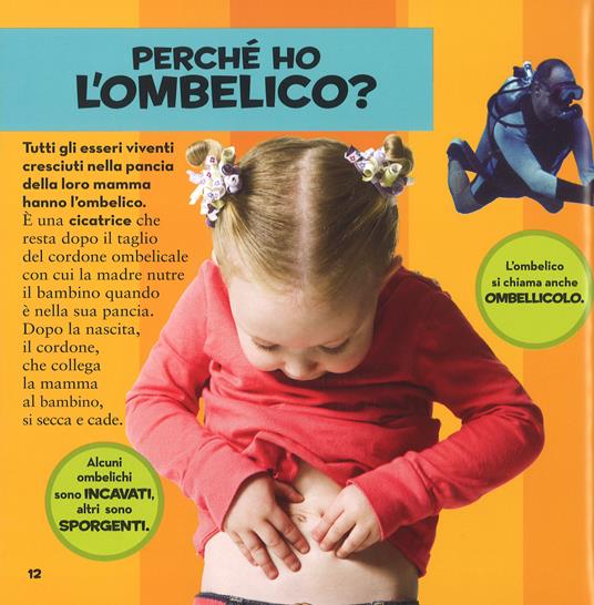 Il primo grande libro dei perché - Amy Shields - 2