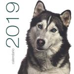 Cani. Calendario da muro 2019