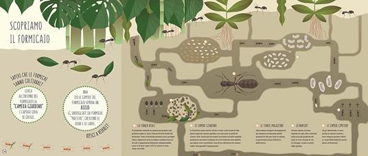 Che cosa c'è dentro? Scopri la vita segreta degli animali - Cristina Banfi,Cristina Peraboni - 6