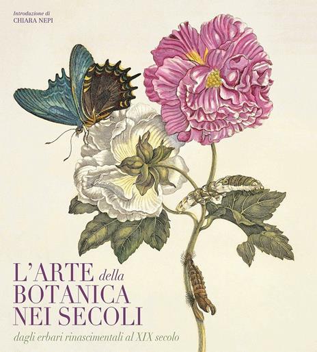 Coppia di stampe vintage Illustrazioni della scuola botanica, anni '50