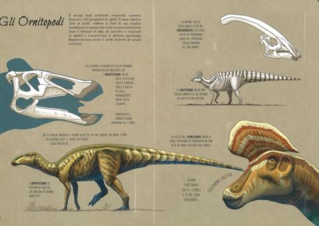 Il mondo dei dinosauri. Solleva e scopri - Cristina Banfi - 5