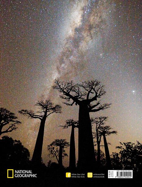 Alberi tra cielo e terra. Ediz. illustrata - Art Wolfe,Gregory McNamee - 7