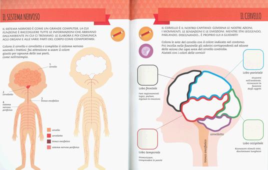 Il mio primo libro del corpo umano. Montessori un mondo di conquiste. Con  adesivi. Ediz. a colori - Chiara Piroddi - Libro - White Star 