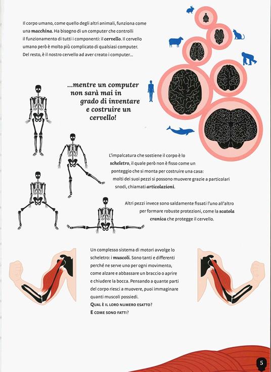 Il corpo umano. I misteri e le curiosità sul nostro corpo spiegati in un colpo d'occhio - Cristina Peraboni - 3