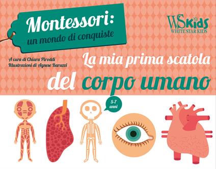 La mia prima scatola del corpo umano. Montessori: un mondo di conquiste. Con poster. Con 15 Carte - Chiara Piroddi - copertina