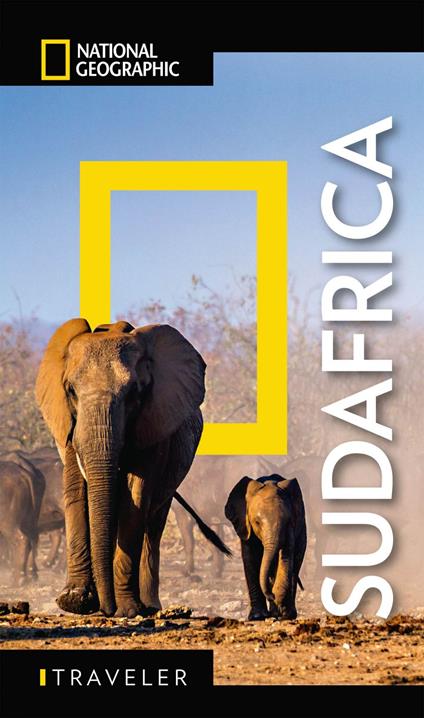 Sud Africa - Damien Simonis - ebook