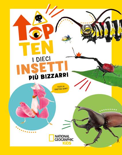 I dieci insetti più bizzarri. Top ten. Ediz. ad alta leggibilità - Cristina Banfi - copertina