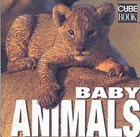 Baby animals. Ediz. illustrata - Valeria Manferto De Fabianis - copertina