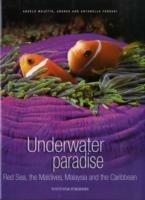 Underwater paradise. Ediz. illustrata - Angelo Mojetta,Andrea Ferrari - copertina