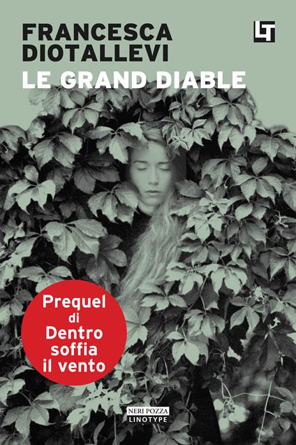 Le grand diable - Francesca Diotallevi - ebook