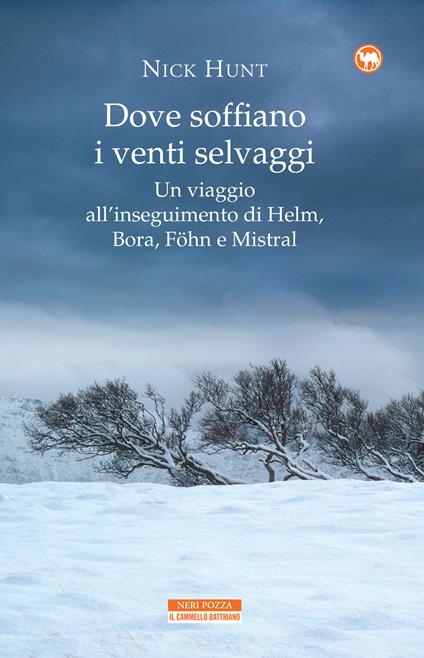 Dove soffiano i venti selvaggi. Un viaggio all'inseguimento di Helm, Bora, Föhn e Mistral - Nick Hunt,Laura Prandino - ebook