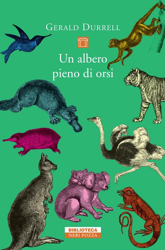 Un albero pieno di orsi - Gerald Durrell,Isa Surci Marvelli - ebook