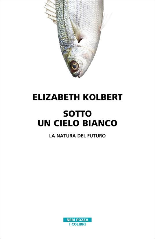 Sotto un cielo bianco. La natura del futuro - Elizabeth Kolbert - copertina